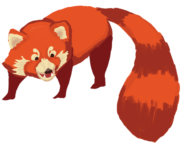 Red Panda With Phone